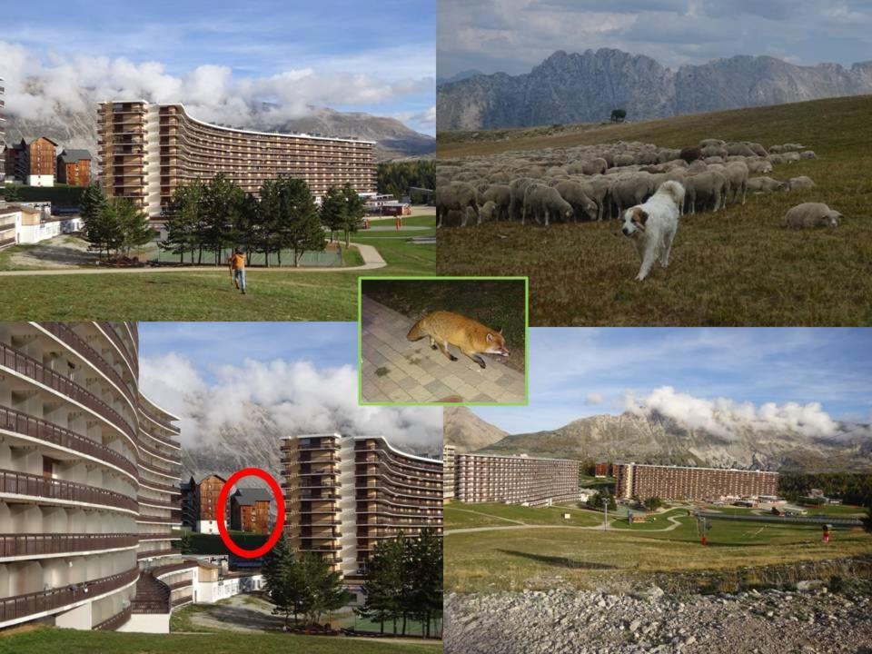 Appartement 8-10 Personnes Superdevoluy Hautes Alpes Rez De Chaussee Vue Panoramique 3 Chambres Saint-Étienne-en-Dévoluy Esterno foto